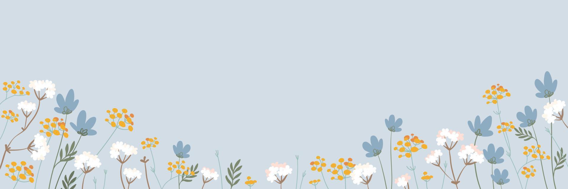 Vector banner with wild flowers, blooming field