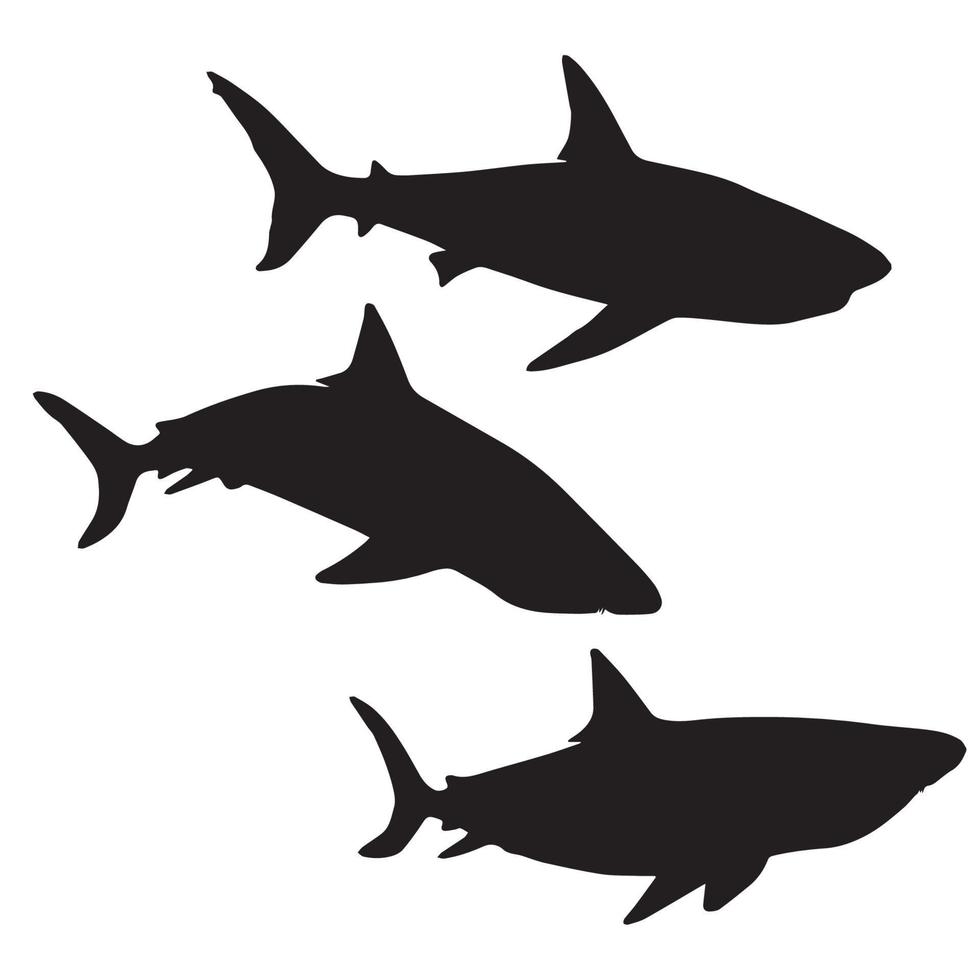 shark silhouette art vector