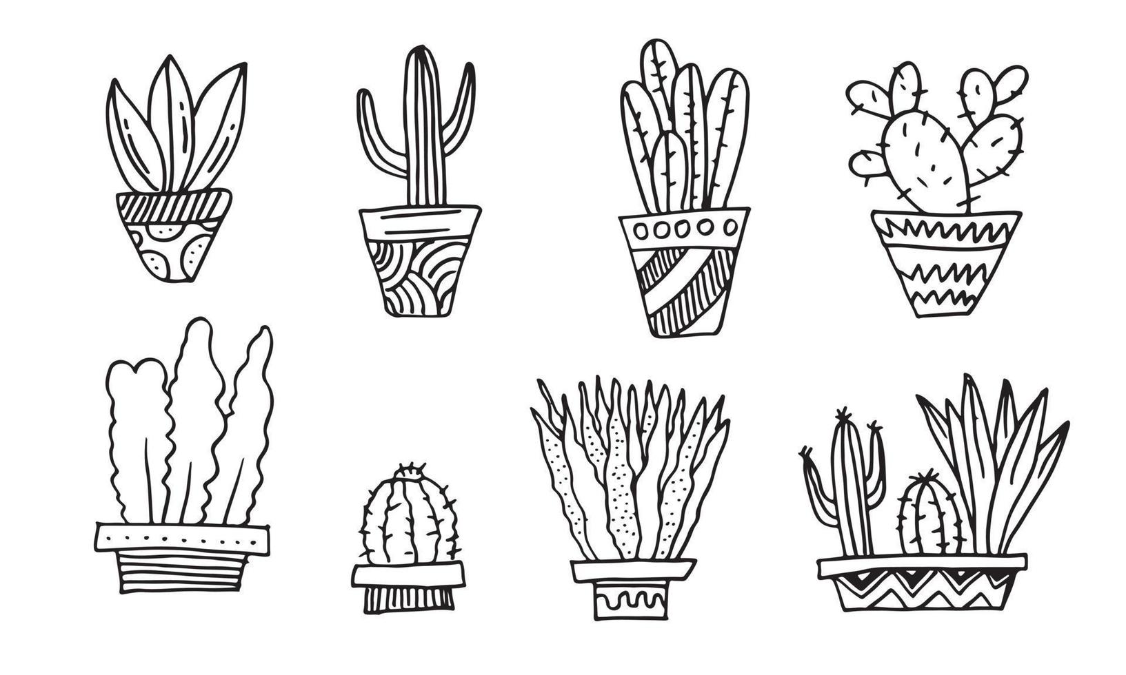 Cactus and succulents vector set. Hand drawn cacti illustration.