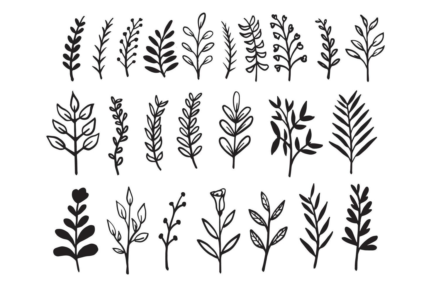 vector hand drawn leaves and branches