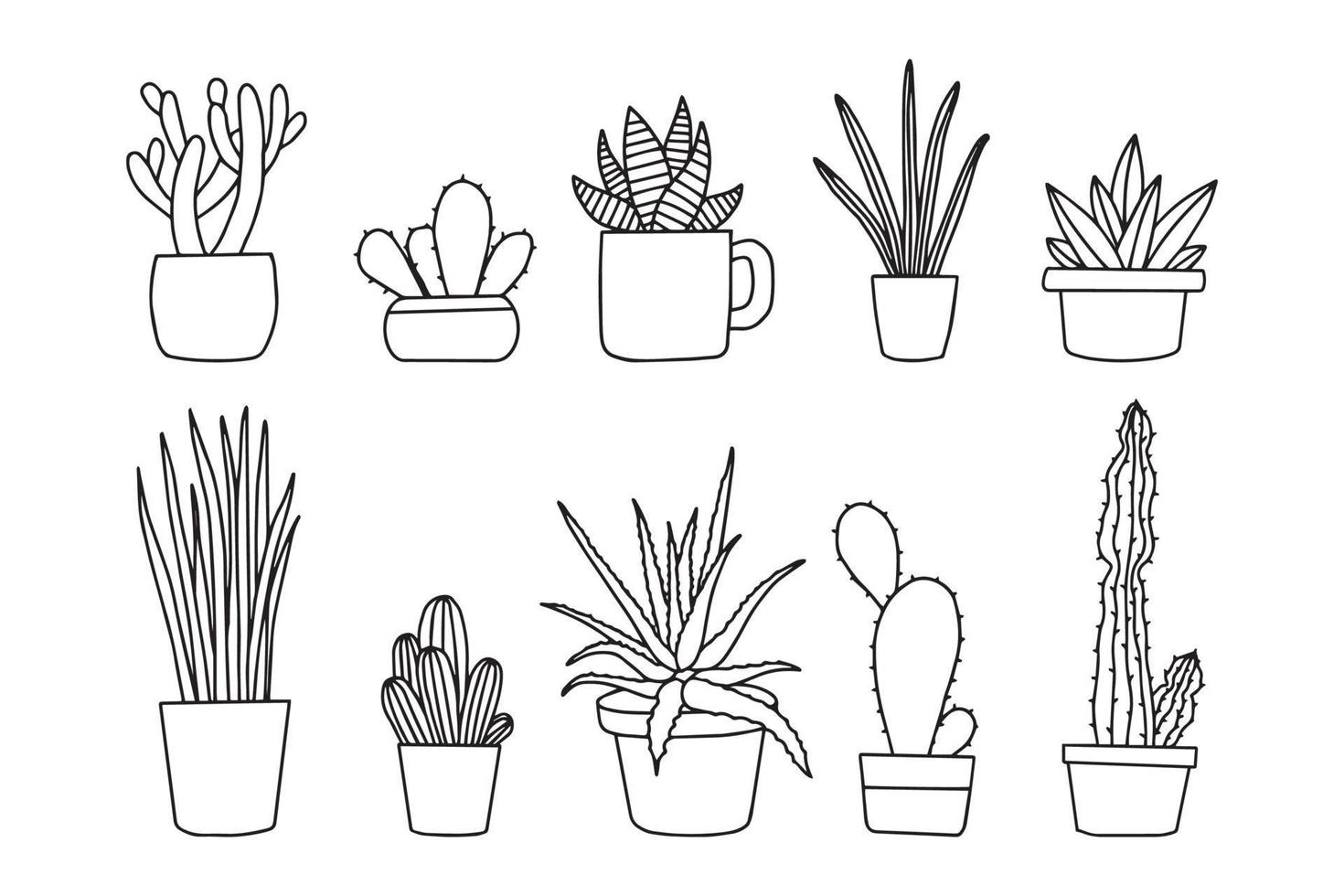 cactus plant vector collection in pot