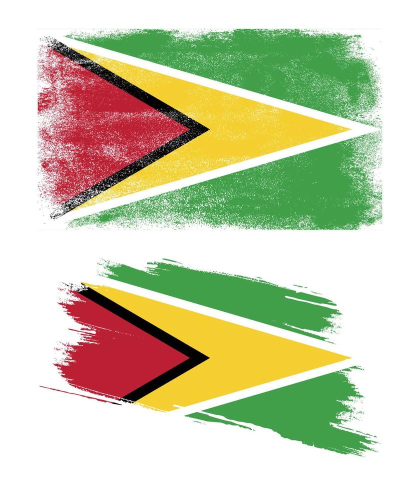 Guyana flag in grunge style vector