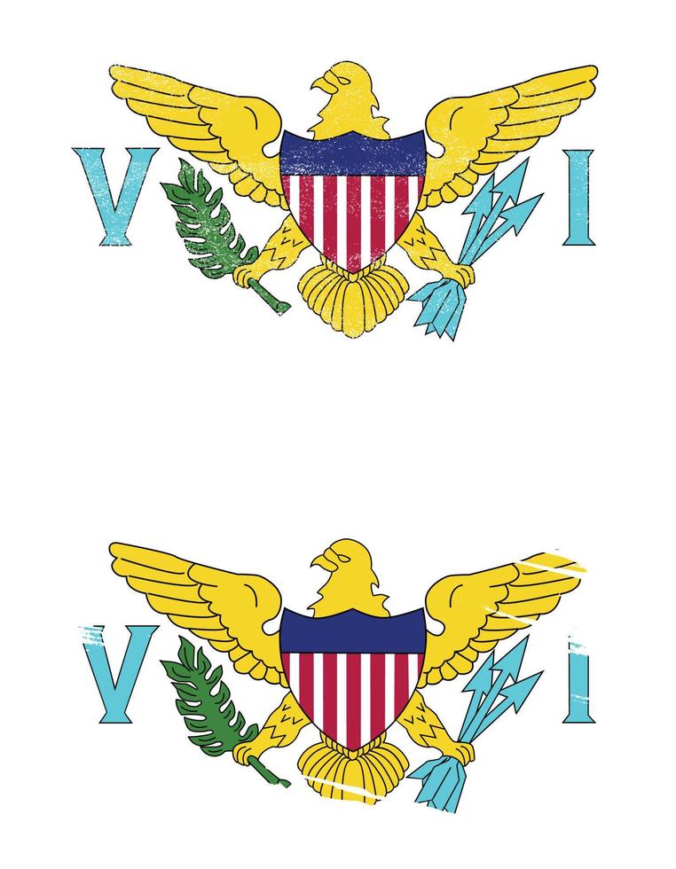 virgin island us flag in grunge style vector