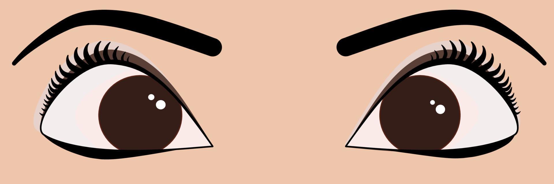 lindos ojos de dibujos animados. ojos de mujer sexy dibujados a mano. cejas perfiladas y pestañas lindos ojos de dibujos animados. ojos de mujer sexy dibujados a mano. cejas perfiladas y pestañas