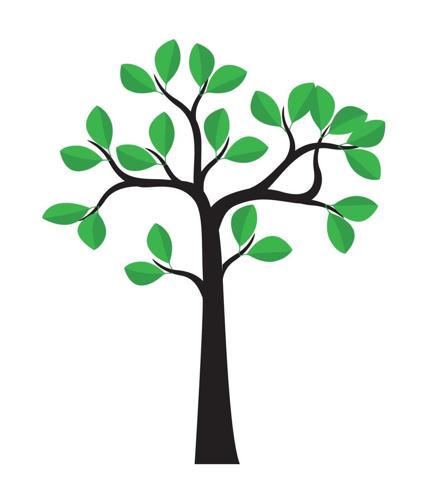 árbol vectorial sobre fondo blanco. vector