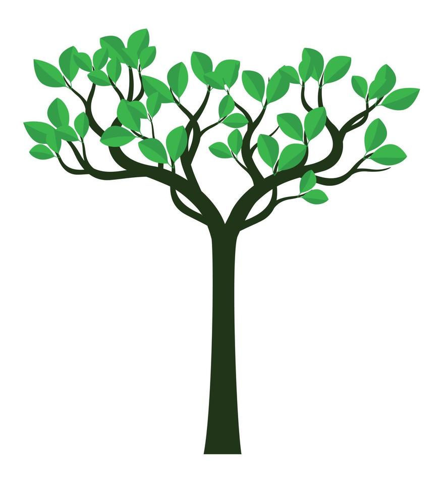 árbol vectorial sobre fondo blanco. vector