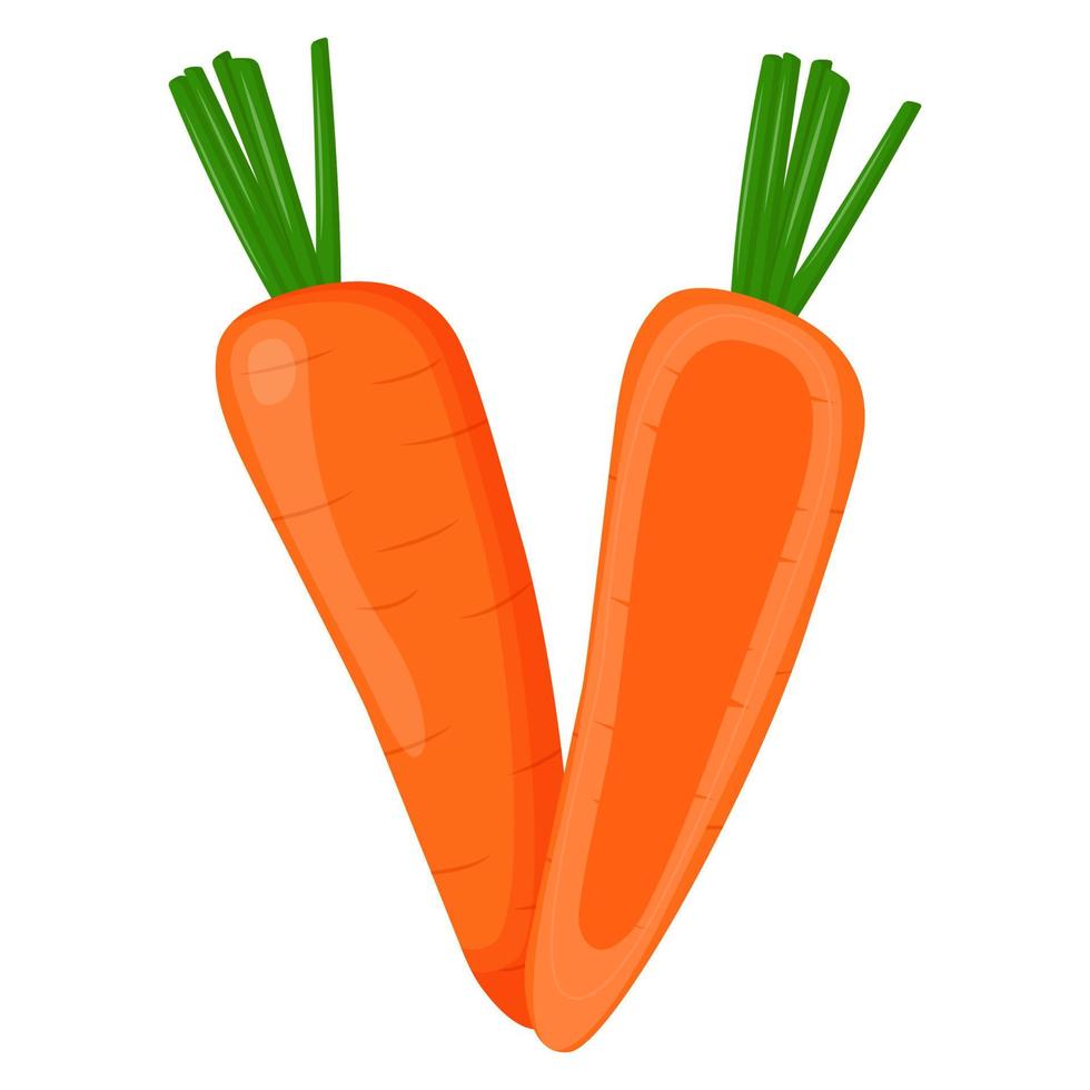 zanahoria entera aislada en el fondo. ilustración vectorial plana. vector