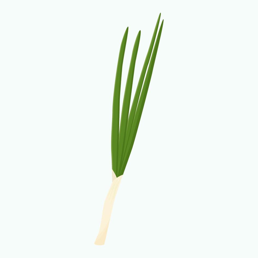 Whole green onion isolated on background. Flat vector illustration.