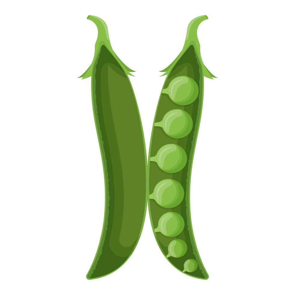 Cute green pea isolated on white background. Vegetarian food. Flat vector illustration