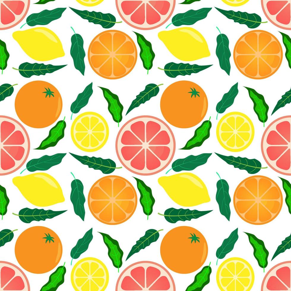 lindo patrón sin costuras con frutas cítricas frescas sobre fondo blanco. limón, naranja, pomelo en hojas. ingredientes de limonada para tela, etiquetas de dibujo, estampado en camiseta, papel pintado, etc. vector