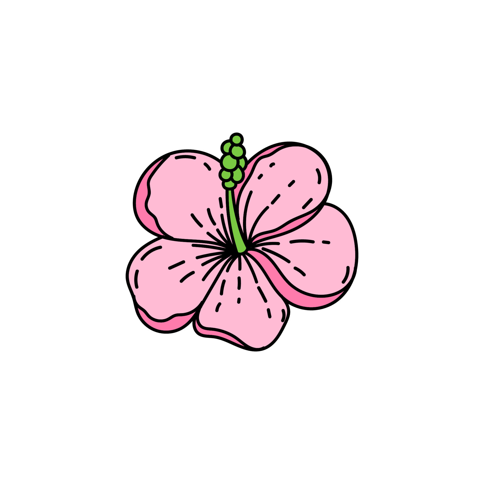 Hibiscus flower drawing Royalty Free Vector Image-saigonsouth.com.vn