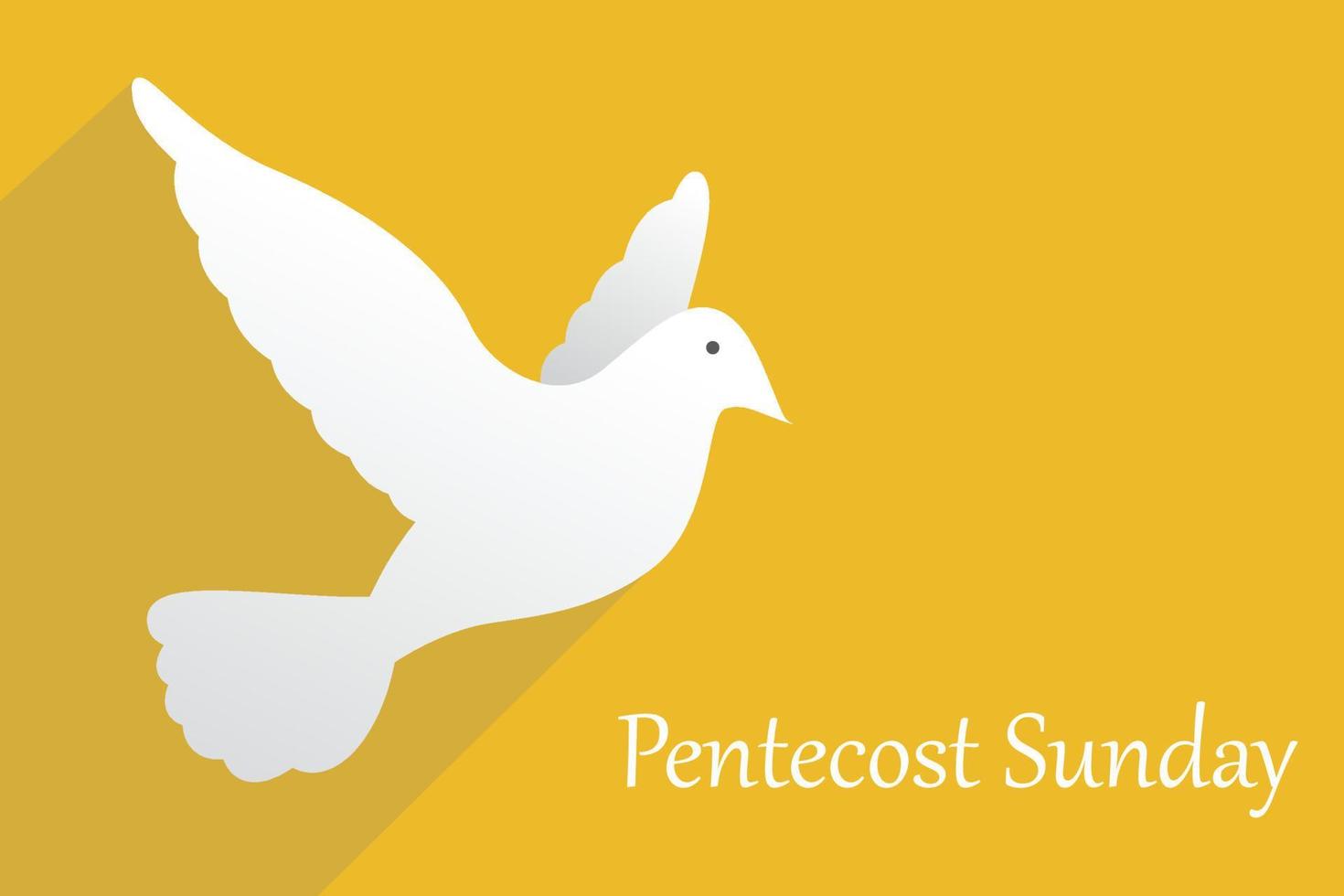 Pentecost Sunday background with flying dove vector