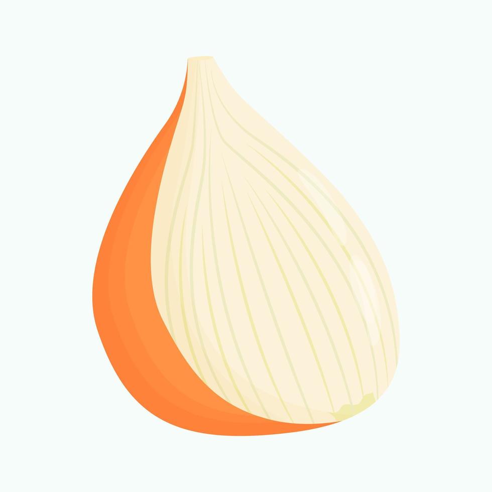 Half of onion isolated on background. Flat vector illustration.
