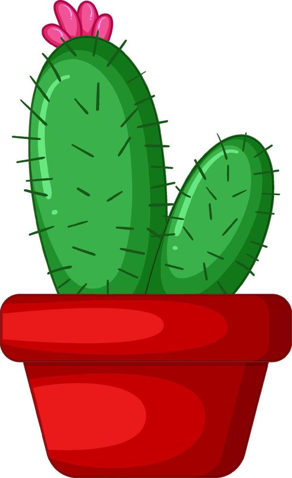 cactus en una olla aislada vector