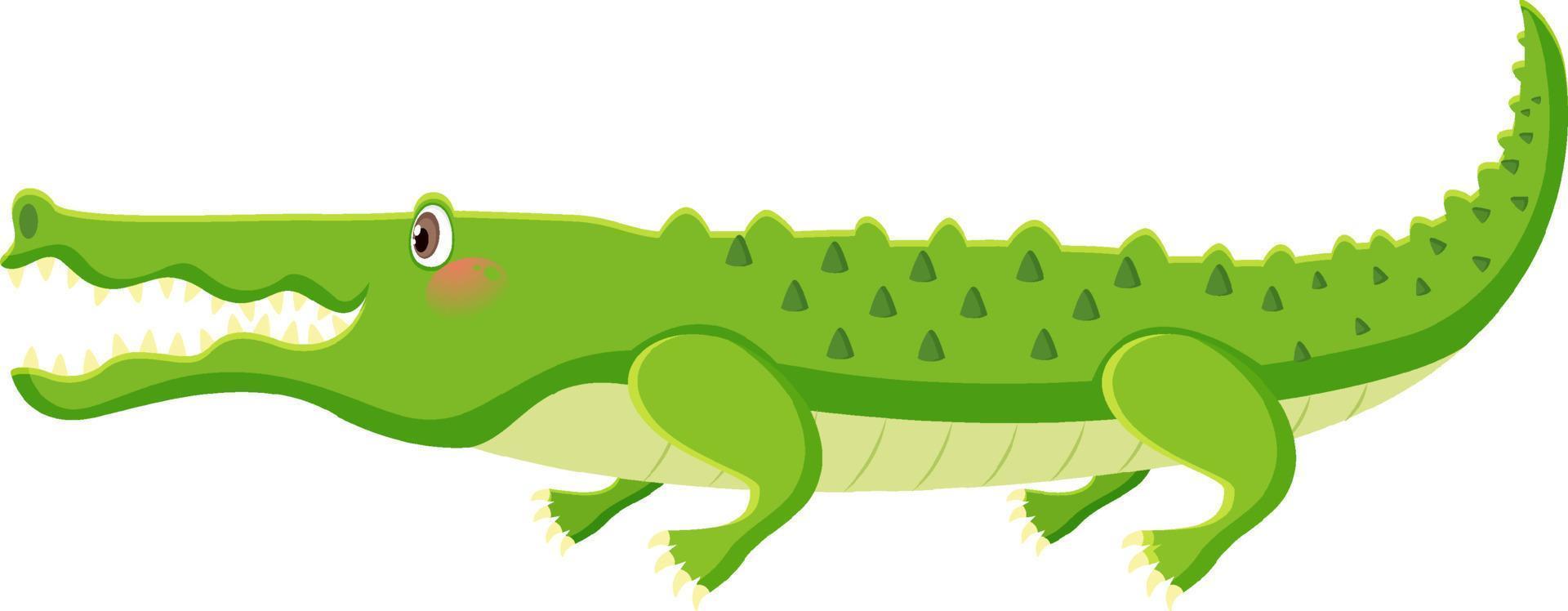 Cute crocodile cartoon character isolated vector