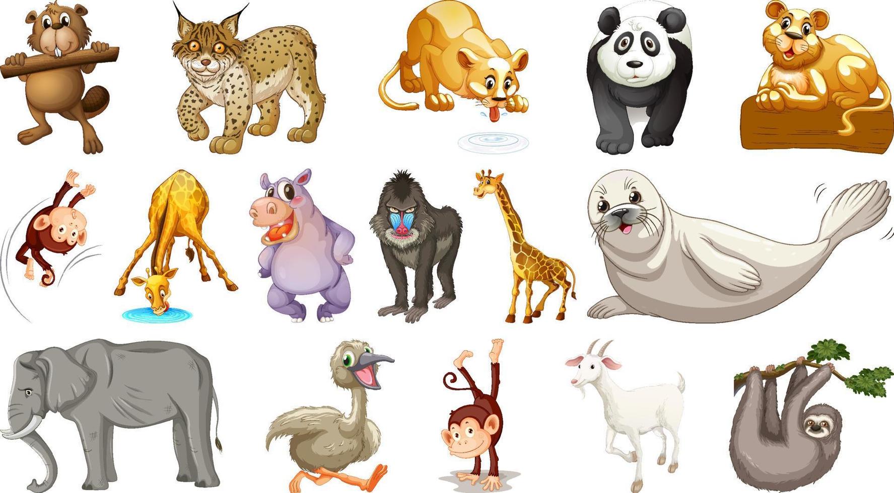 animales salvajes sobre fondo blanco vector