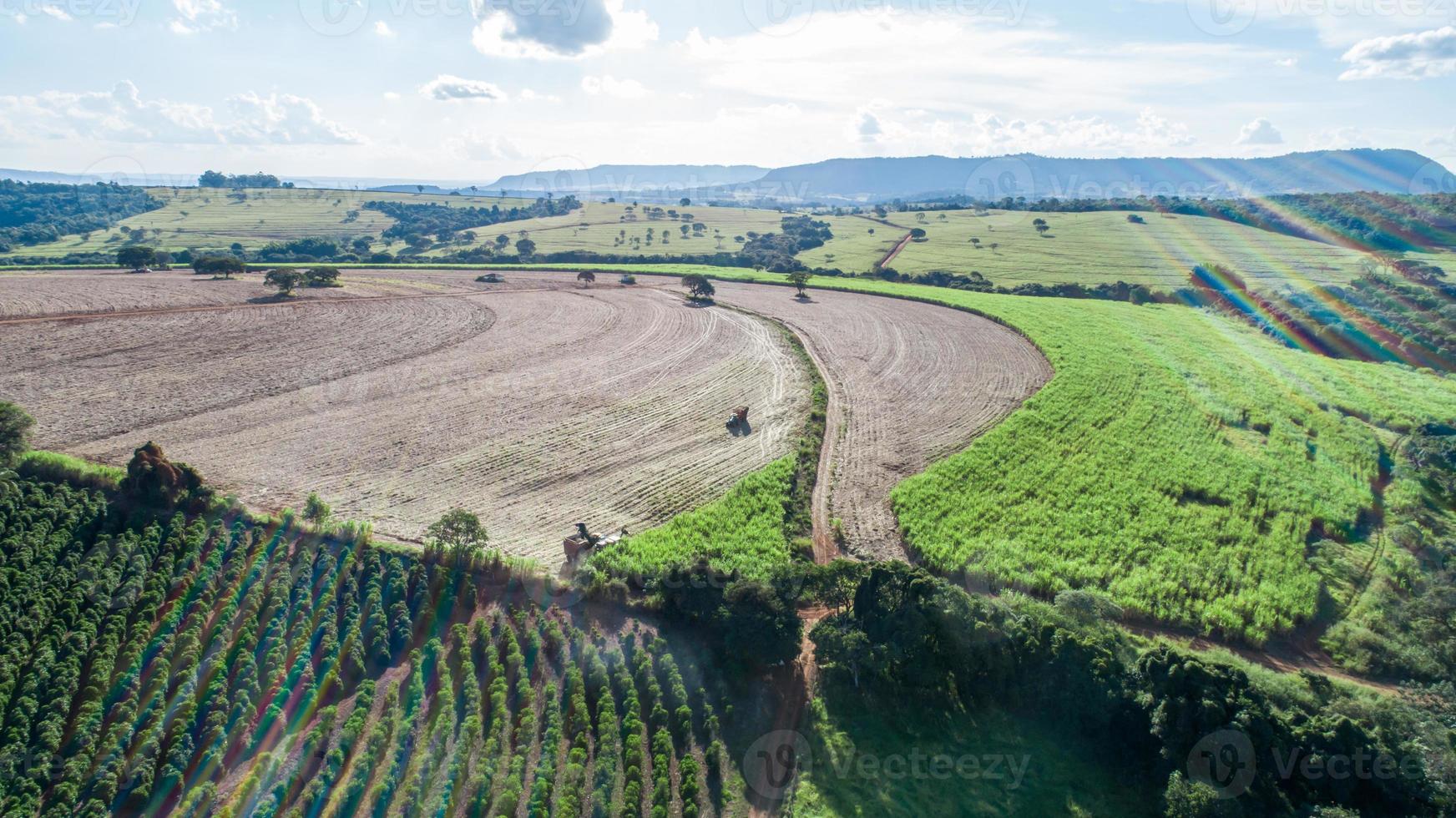 Sugar cane harvest in sunny day in Brazil. Aerial view. photo