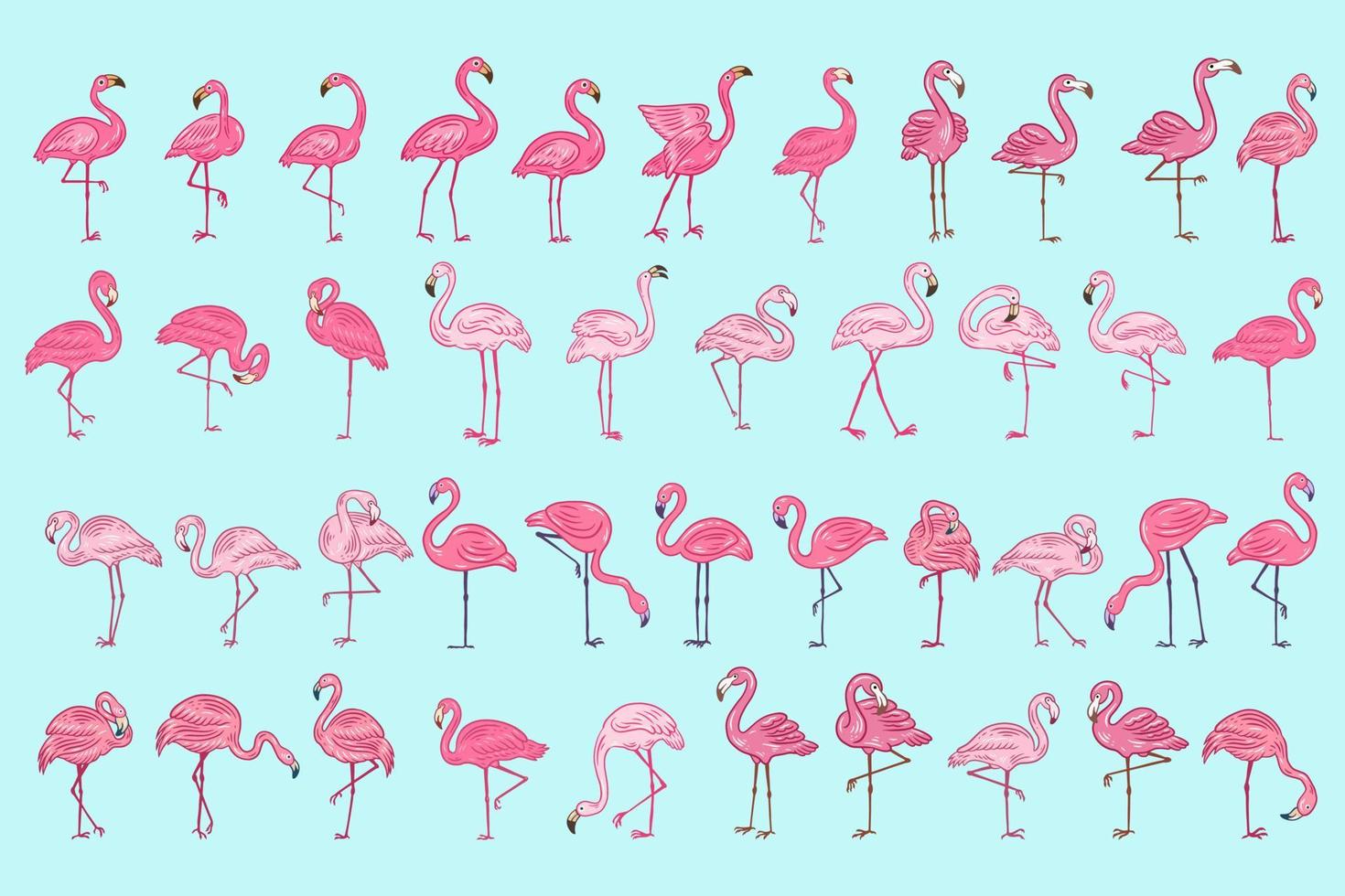 Set Huge Collection Bundle of Cute Flamingo pink Bird flamingos Aesthetic Tropical Exotic Hand drawn flat style collection vector