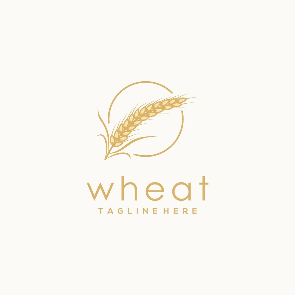 Luxury Golden Grain Weath - Rice Logo Design Vector, suitable for your design need, logo, illustration, animation, etc. vector