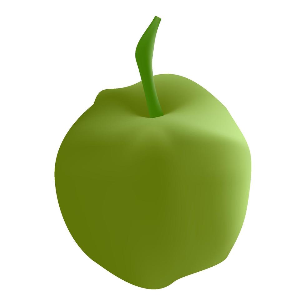 Green guava on white background, vector illustration.