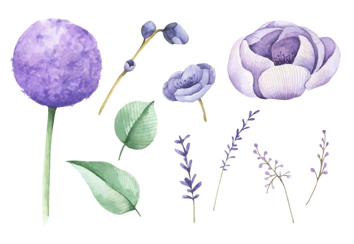 conjunto de flores. ilustración de acuarela vector