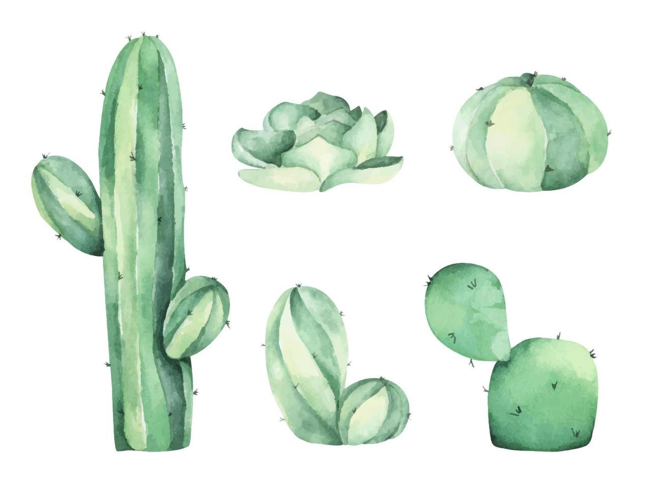 Set of Cactus. Watercolor illustration. vector