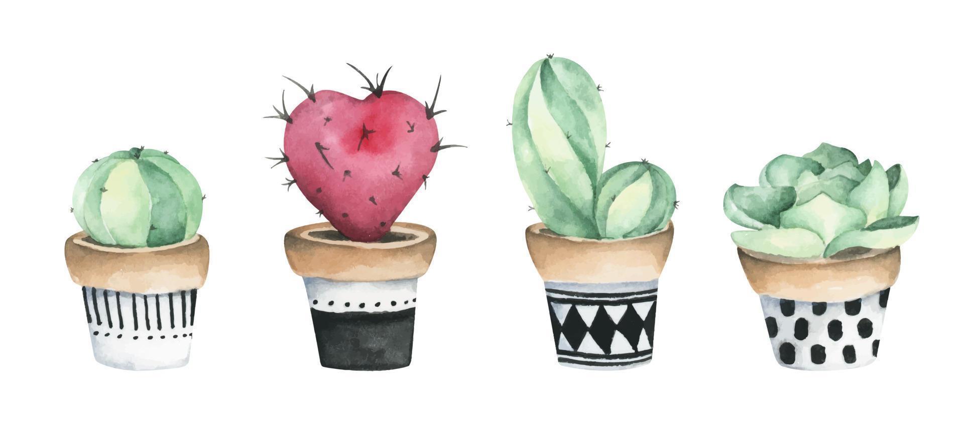 Set of Cactus potted. Watercolor illustration. vector