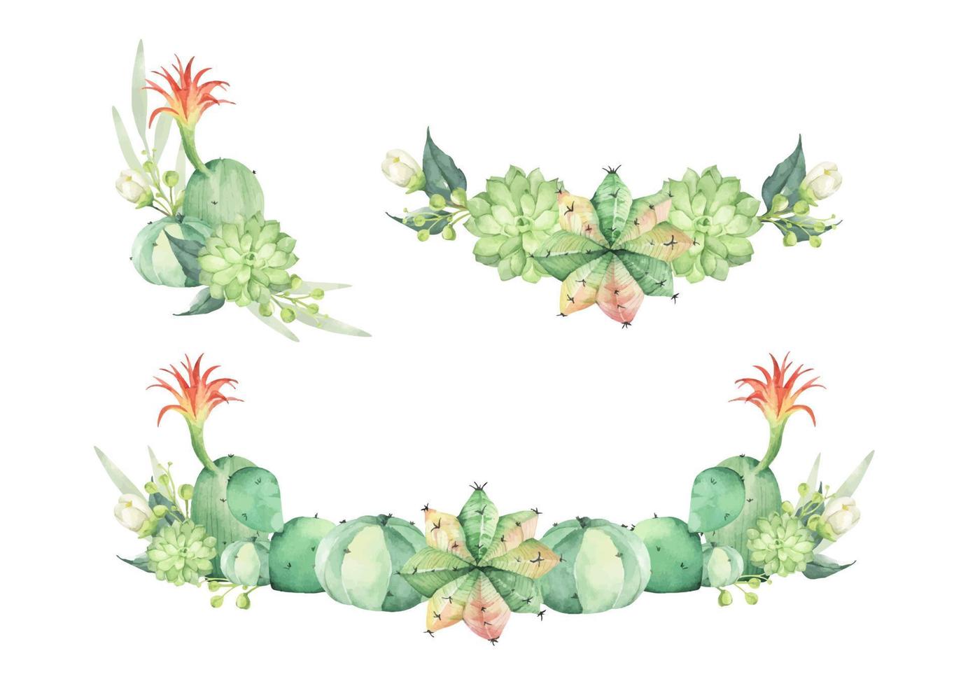 Floral bunches. Succulent bouquets. Watercolor illustration. vector