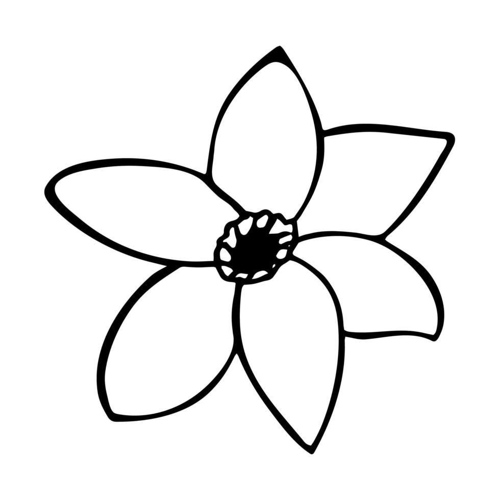 Hand drawn cute single doodle flower. A wedding flower for the invitation card. vector