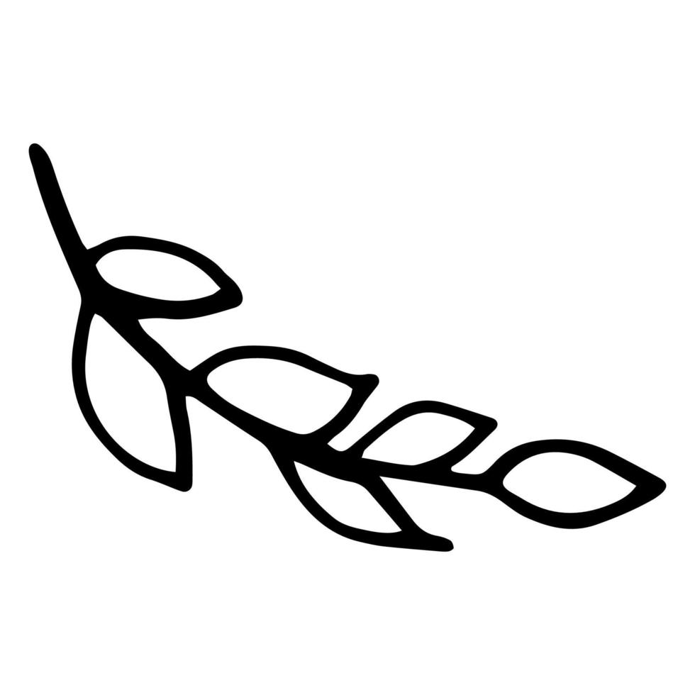 Hand drawn single cute doodle sprig with leaves. Vector illustration.