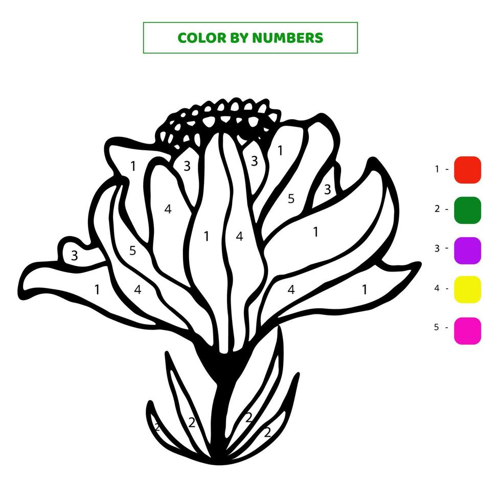 Color hand drawn cute single doodle flower in bloom by numbers. Vector illustration.