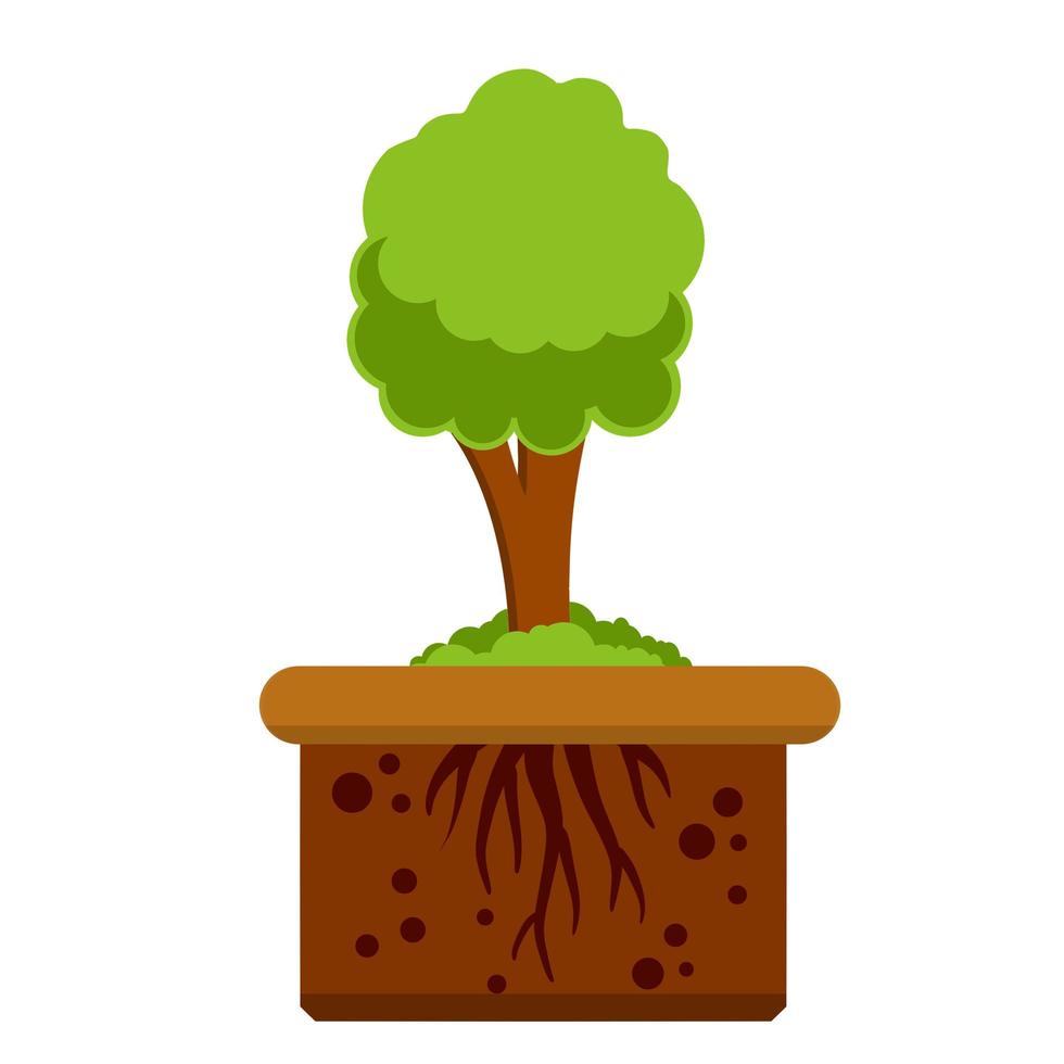 Root system of tree. Nature and forest. vector