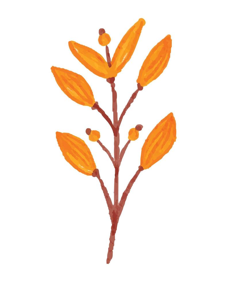 Watercolor Illustration of Autumn Branch vector