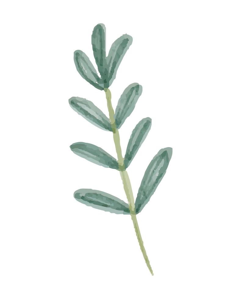 Watercolor Illustration of Spring Leaf vector