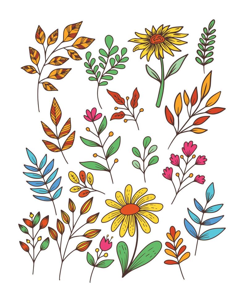 colección de color de garabato dibujado a mano de hoja y flor vector