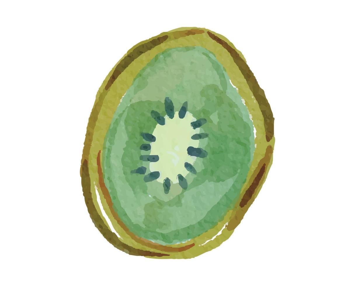 Sliced of Kiwi Watercolor Illustration vector