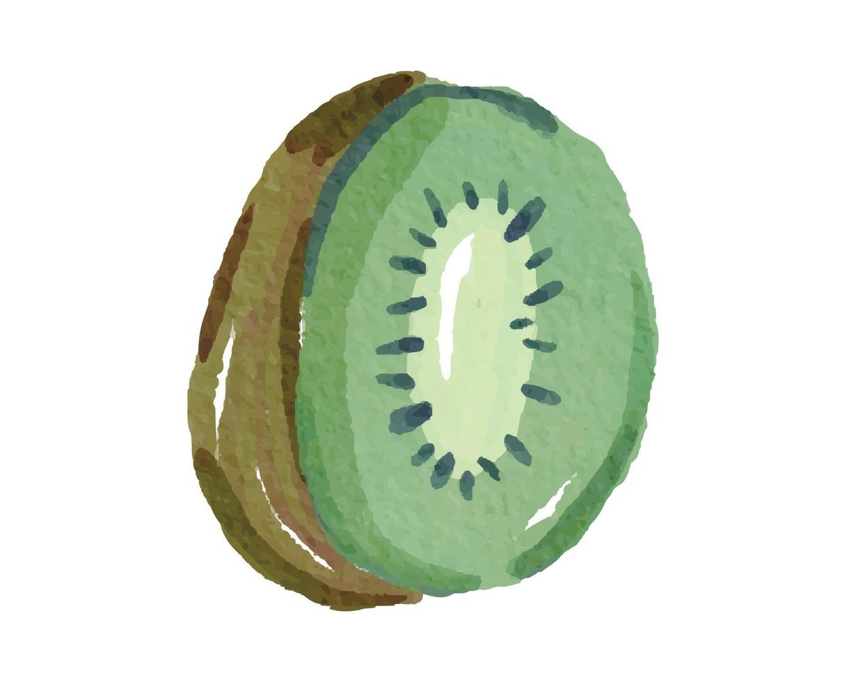 Sliced of Kiwi with Watercolor Illustration Style vector