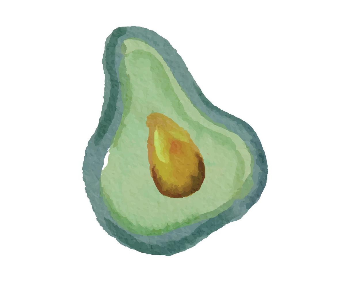 Sliced of Avocado with Watercolor Illustration Style vector