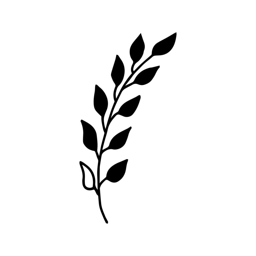 Doodle black plant branch for decoration design. Isolated image. Curved branch with leaves. Wedding floral decorations. White background. Floral wreath element. Vector illustration