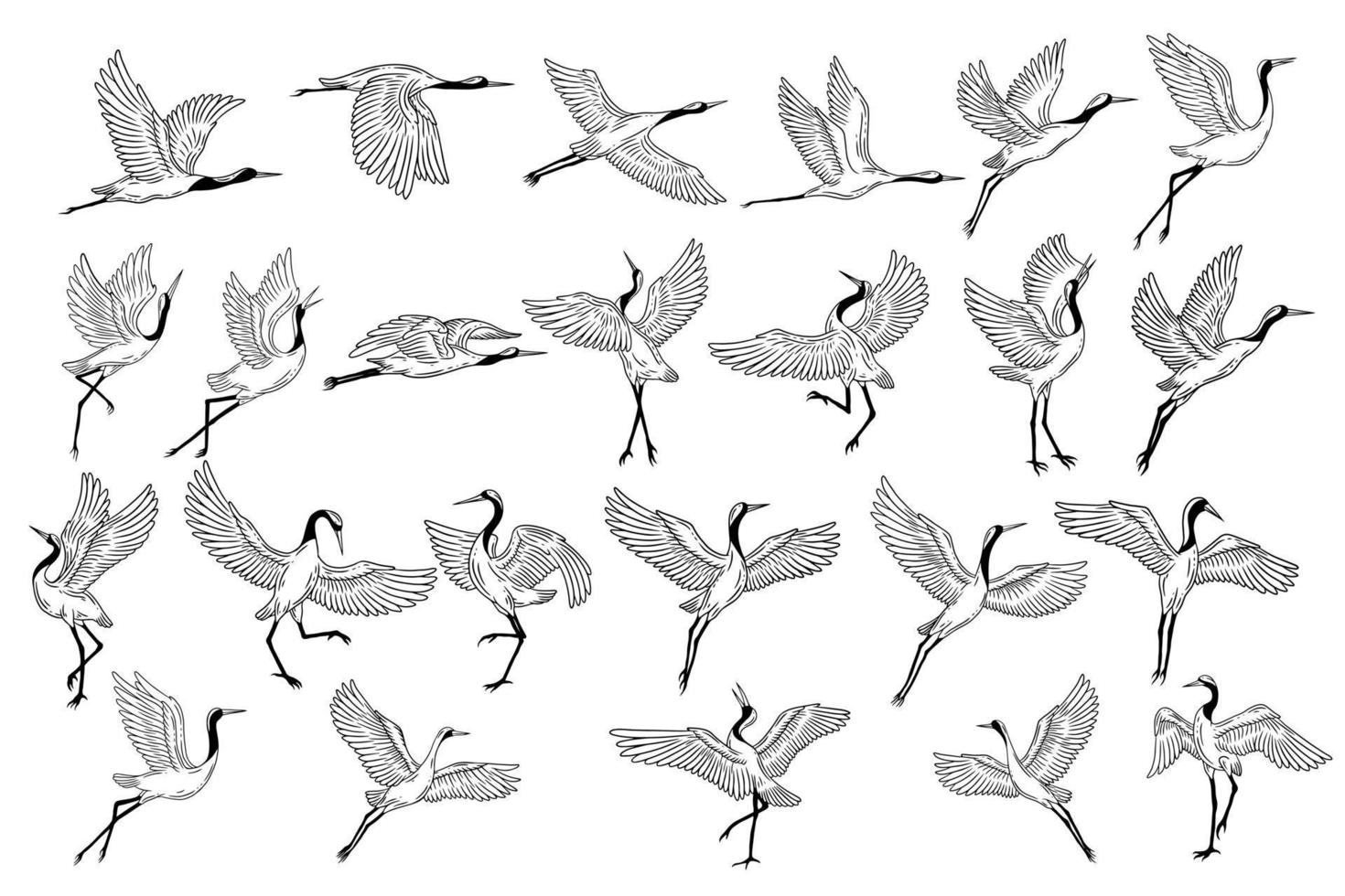 Set Mega Collection Bundle Stork Bird Flying Tropical cartoon Wild birds cranes Hand Drawn vector