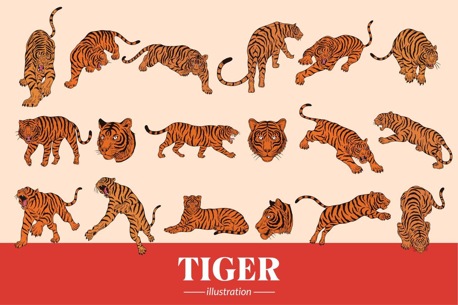 conjunto mega colección paquete tigre bestia cara salvaje poses aislado dibujos animados clipart ilustración vector