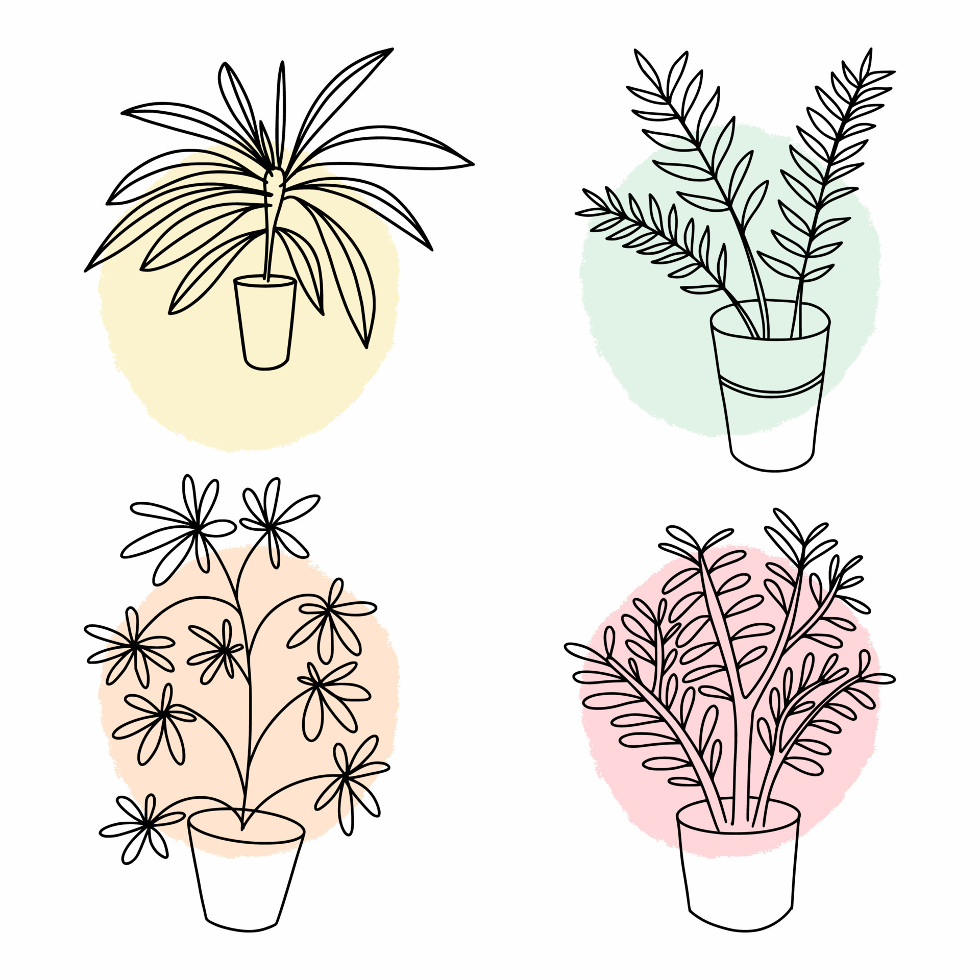 Vector Sketch Of A House Plant Drawing By Hand 7504694 Vector Art At 