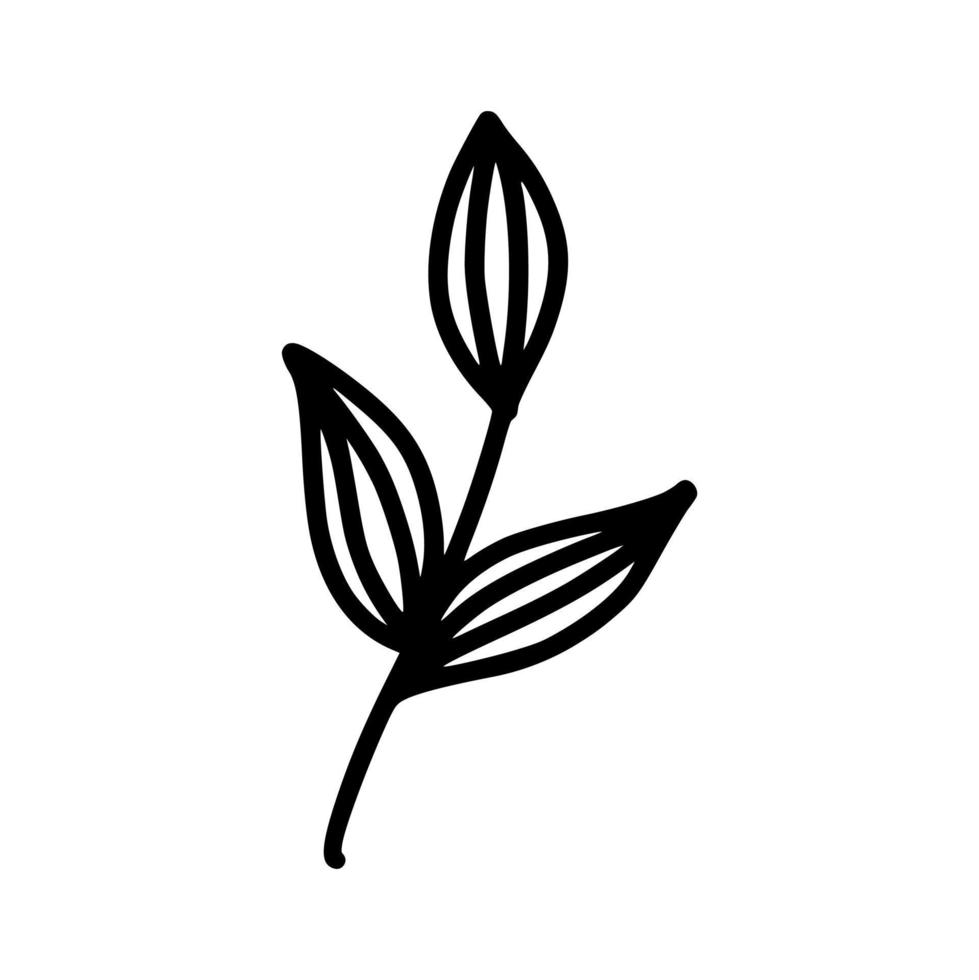 Branches with leaves, hand-drawn vector