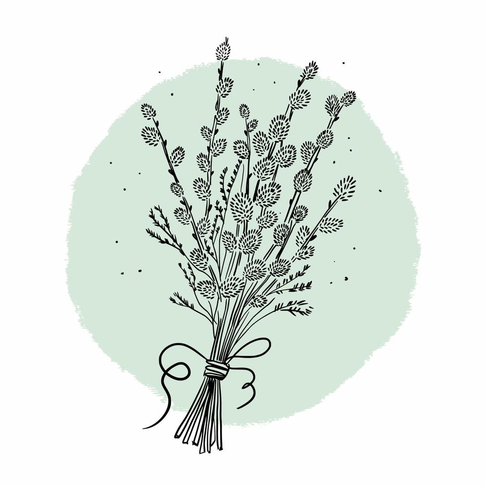 Bouquet of willow twigs, hand drawing vector