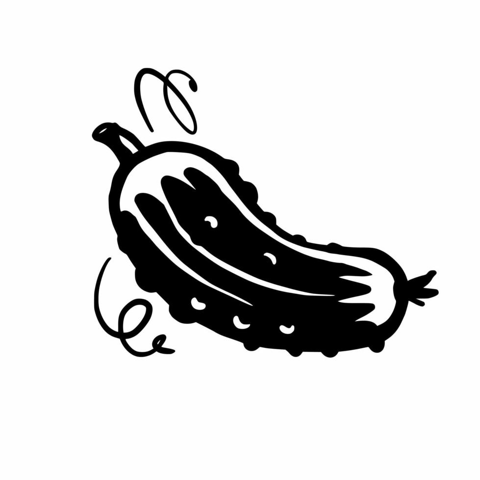 A hand-drawn cucumber. Doodles vector