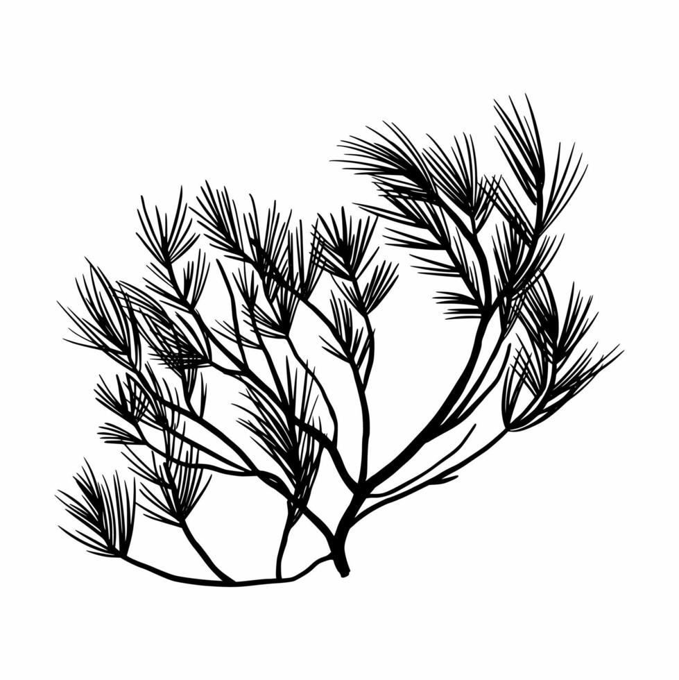 The branch of the Christmas tree is hand-drawn. Doodles vector