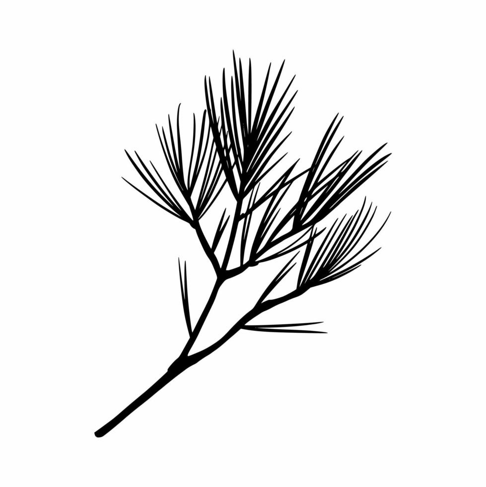 la rama del árbol de navidad está dibujada a mano. garabatos vector