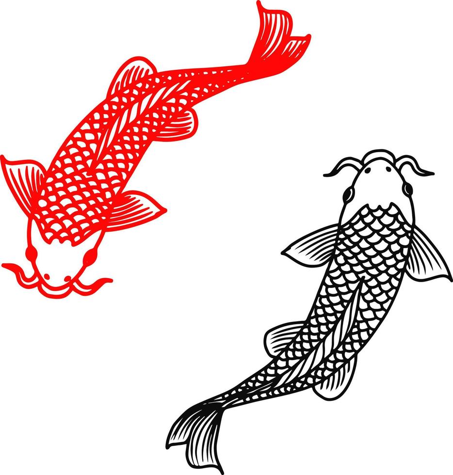 Ilustración de contorno vectorial de dos imágenes prediseñadas de peces koi vector