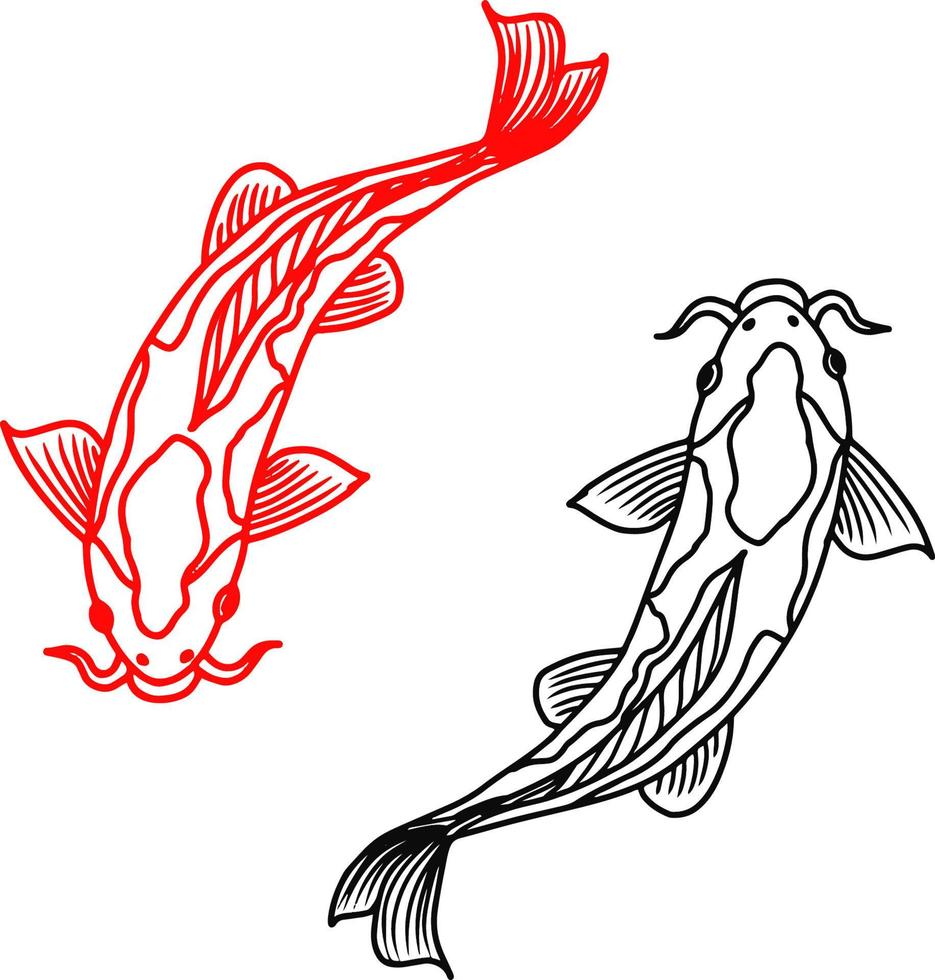 Ilustración de contorno vectorial de dos imágenes prediseñadas de peces koi vector