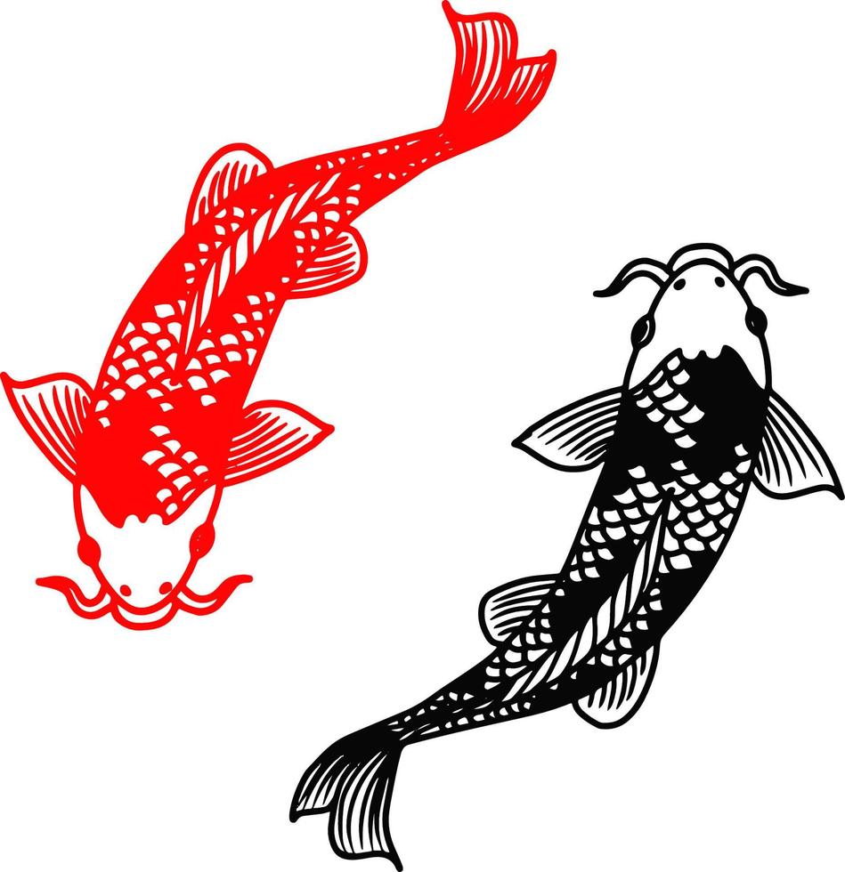 Ilustración de contorno vectorial de dos imágenes prediseñadas de peces koi vector